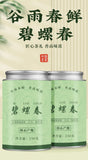 2025 Biluochun Green Tea Premium Loose Leaf Mountain Fresh