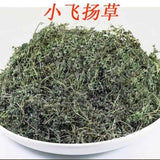 Dried Thyme-leaved spurge Redcausticreeper Euphorbiathymifolia Xiao Fei Yang Cao