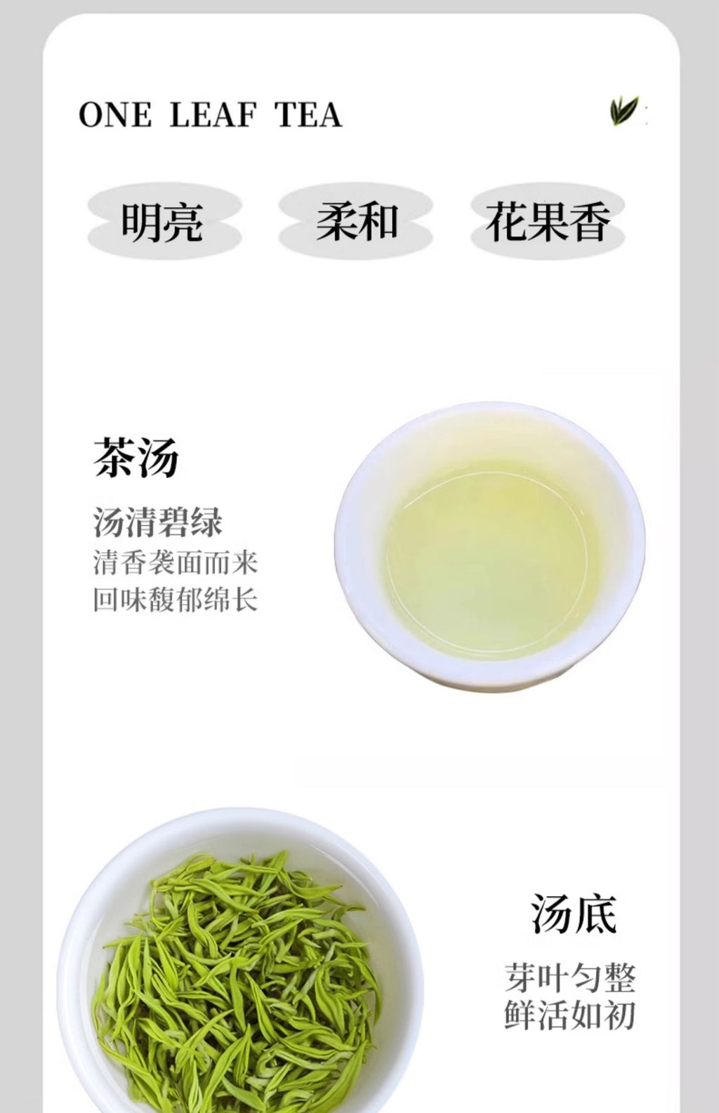 Green Tea Mingqian Bi Luo Chun 2025 New Fragrant Tea Small Can for Personal Use