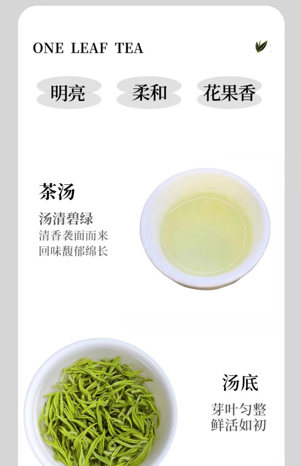Green Tea Mingqian Bi Luo Chun 2025 New Fragrant Tea Small Can for Personal Use