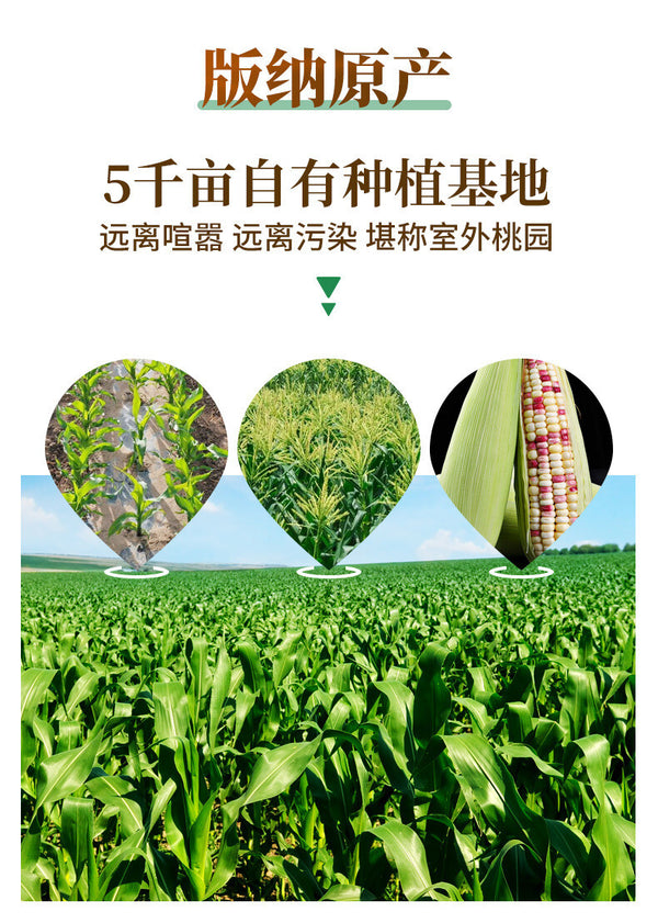 Xishuangbanna Sticky Corn – Vacuum-Packed Sweet Snack
