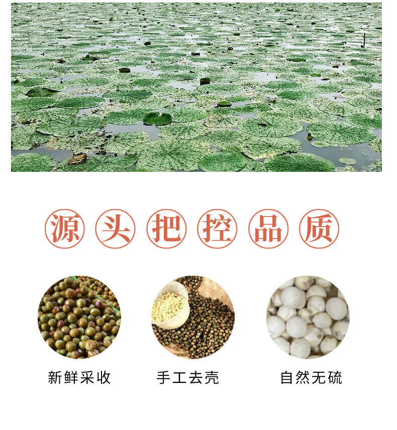 Hulled Fresh Euryale Seeds | Nutritious White Fox Nut | Tasty & Fragrant