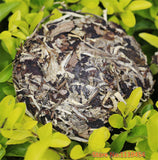 100g White Moonlight Old Tea Puer cha Tea Cake Moonlight Beauty Ancient Fragrant