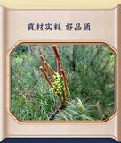 Poudre de fleur de pin à mur cassé 100g tête de pollen de pin