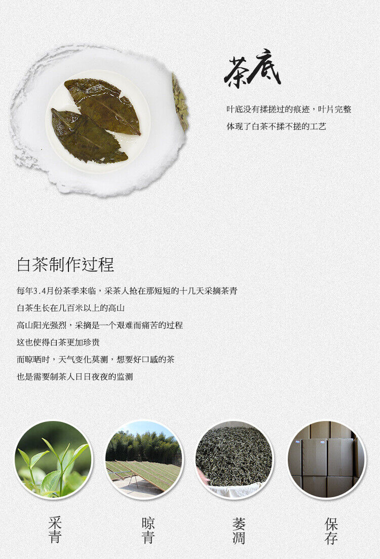 Golden Leaf White Tea China Mint Aroma White Tea Organic Ancient Tree 300g