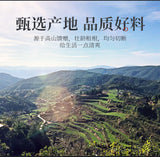 Dandelion Root Tea Changbai Mountain Wild Whole Root Roasted Authentic Dandelion