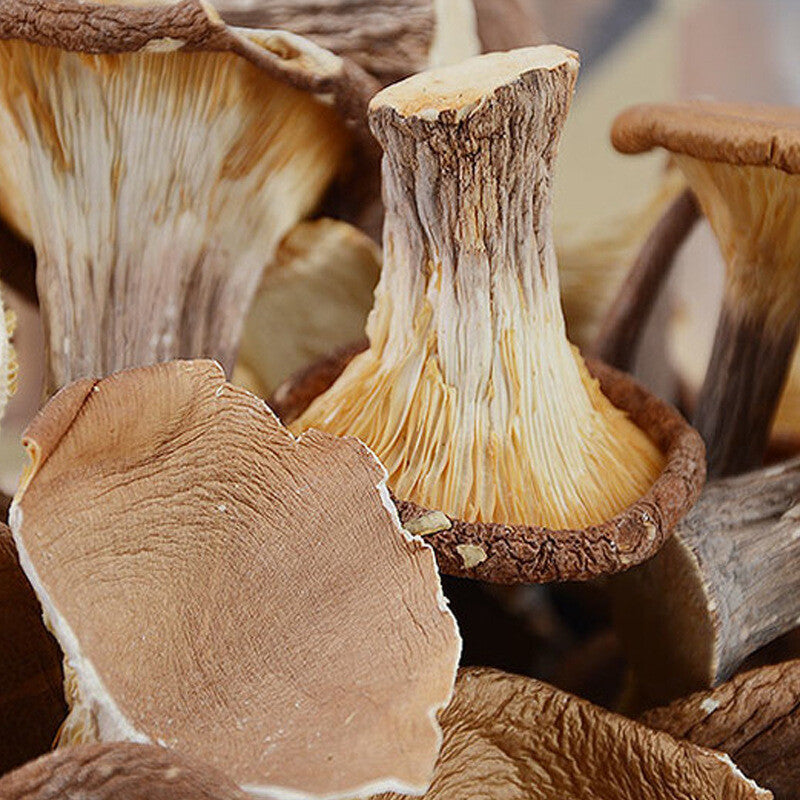 Wild Mountain Delicacies: Dried Mushrooms, Pig Stomach Fungus, Shiitake for Soup Secondary image