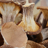 Wild Mountain Delicacies: Dried Mushrooms, Pig Stomach Fungus, Shiitake for Soup