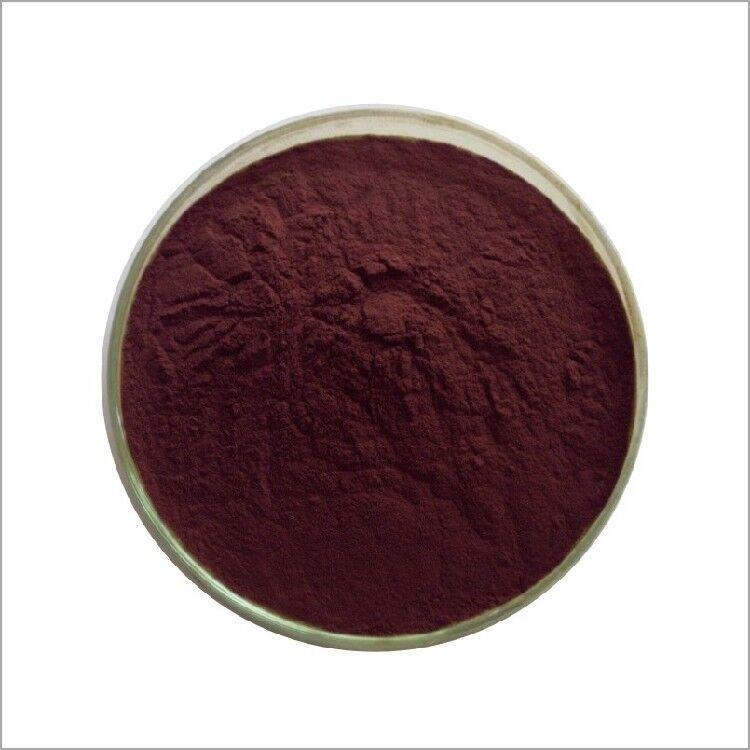 100g (3.5 oz) Natural Organic Aronia Berry 4:1 Extract Chokeberry Powder Main image