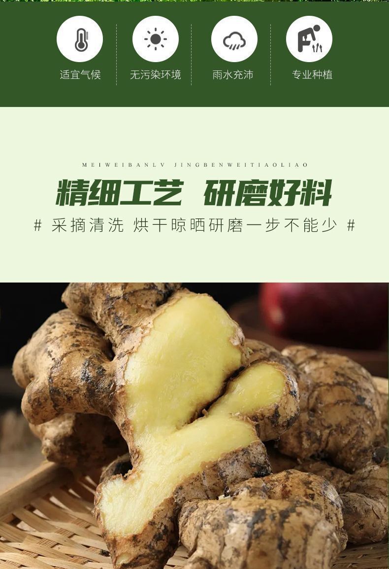 Poudre d'ail assaisonnement mariné, poudre d'épices de remplissage 500g