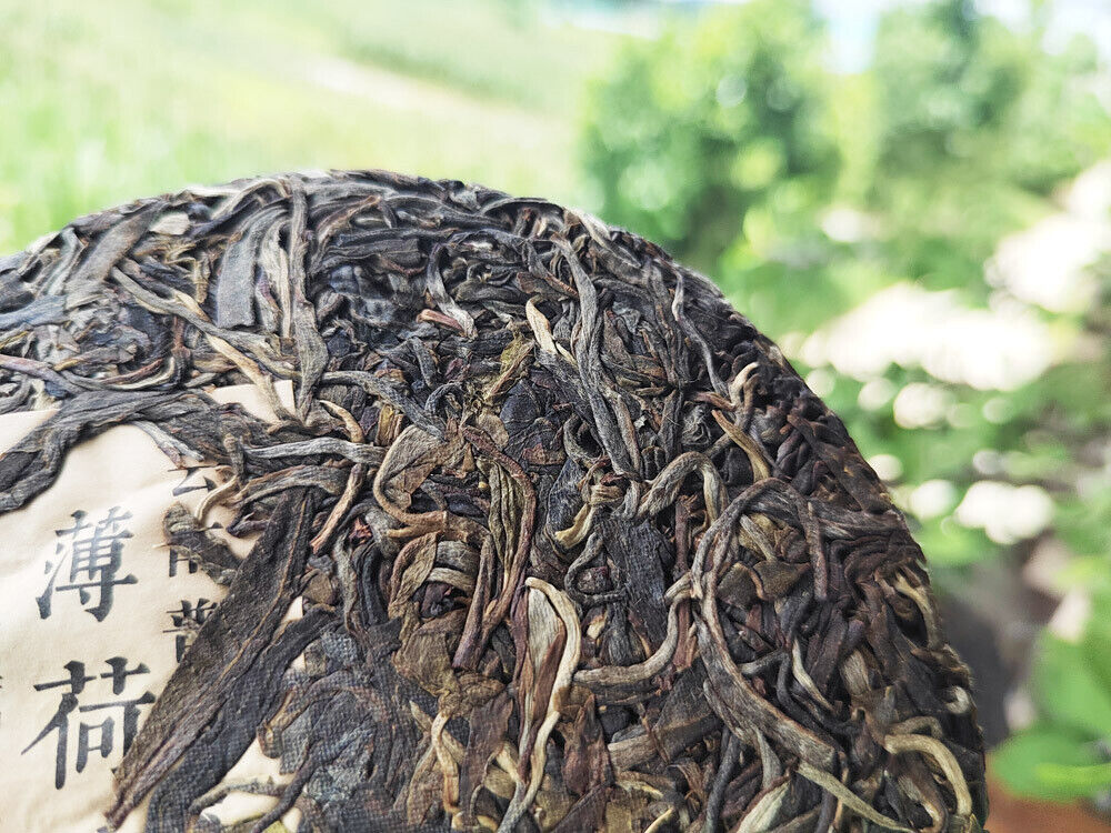 200g MintHotang Ancient Tree Tea Yiwu Old Tree Raw Pu'er First Spring Jiaoji Tea