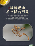 Purslane Health Tea Five Elements of Longevity Henan Purslane Herbal Tea 30g