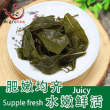 New Fresh Taiwanese Oolong Tea Alishan Good Quality Wu Long Cha 300g