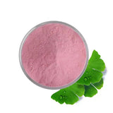 100% Natural Acerola Cherry Powder Cherry Extract Powder Red Cherry Vitamin C