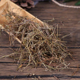 Dried Herb of Threeflower Bluebeard Caryopteris Terniflora Makes A Healthy Tea