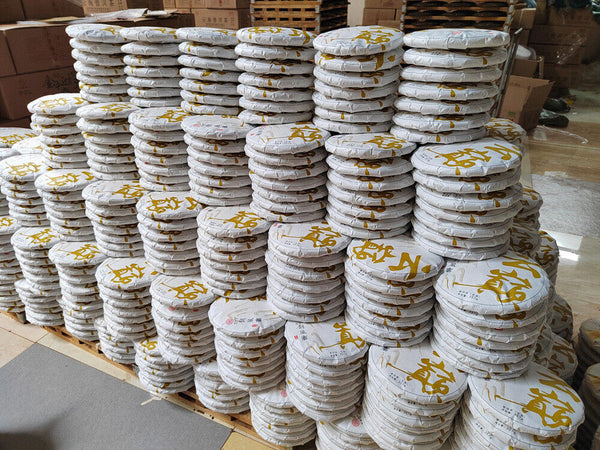 Scraping Walled Pu'er Tea Cake Yiwu Ancient Tree Raw Tea First Spring Yunnan Tea