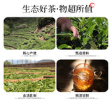 High Altitude Floral & Milky Aroma Oolong Tea Fujian Zhangping Shui Xian Tea