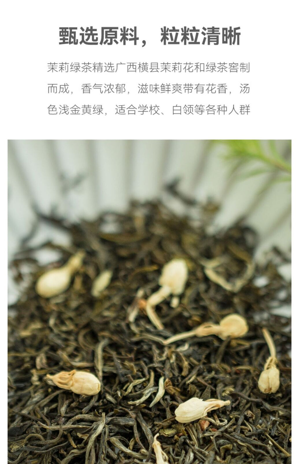 Jasmine Green Tea 2025 New Fragrant Tea Bags No Sugar Cold Brew for Summer