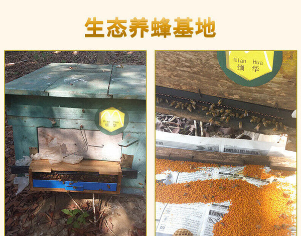 Source granulaire sélectionnée Pu'er Spring Tea Pollen Spécialité du sol 200g