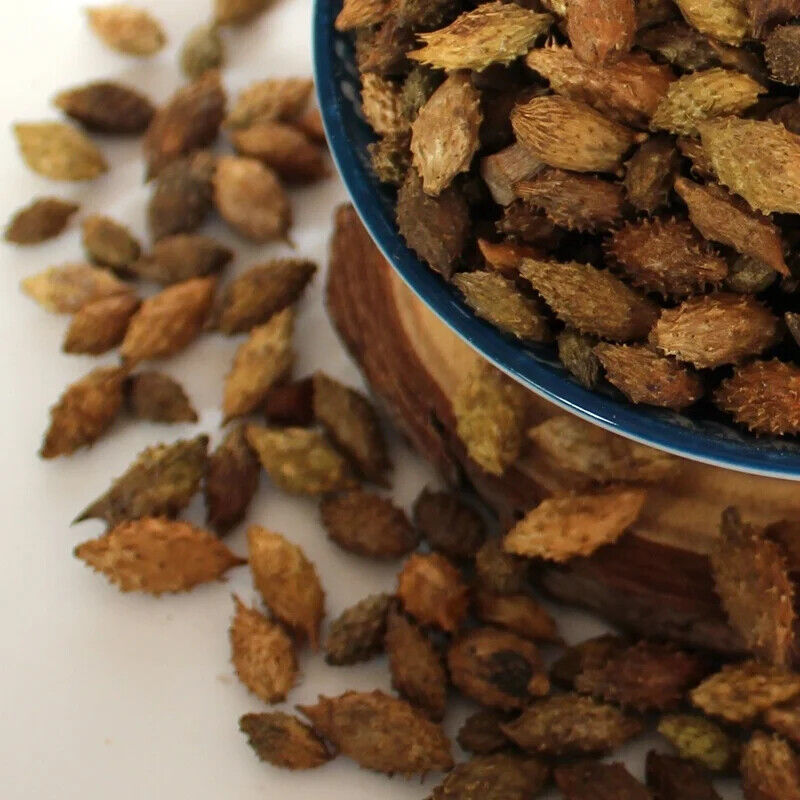 100% Pure Siberian Cocklebur Fruit  / Xanthium Sibiricum Herbs 250g