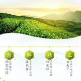 Premium Bi Luo Chun 2025 New Spring Tea Yunnan Dian Green 200g Natural