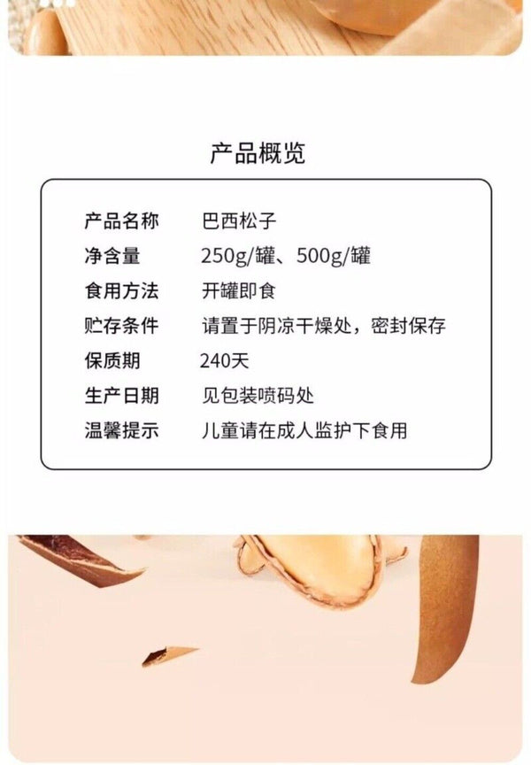 2024 Harvest Premium Pine Nuts Jumbo Size Healthy Natural Handpicked Snack
