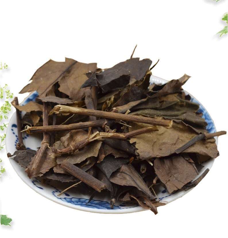 8.8oz Glabrous Sarcandra Herb, Herba Sarcandrae, Dried Herbs Zhong Jie Feng 肿节风 Main image