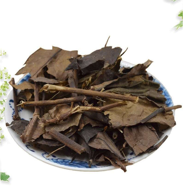 8.8oz Glabrous Sarcandra Herb, Herba Sarcandrae, Dried Herbs Zhong Jie Feng 肿节风