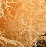 500g Bio Irisches Seemoos – Roh, Vegan & Non-GMO Getrocknete Algen