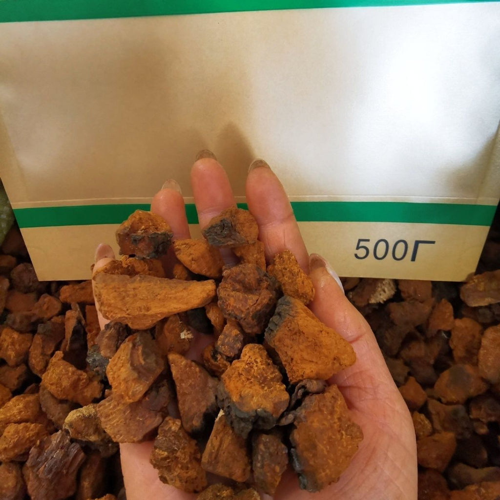 Wilder Chaga-Pilz-Extrakt Kontrolle des hohen Blutzuckerspiegels Birkenpilz-Tee