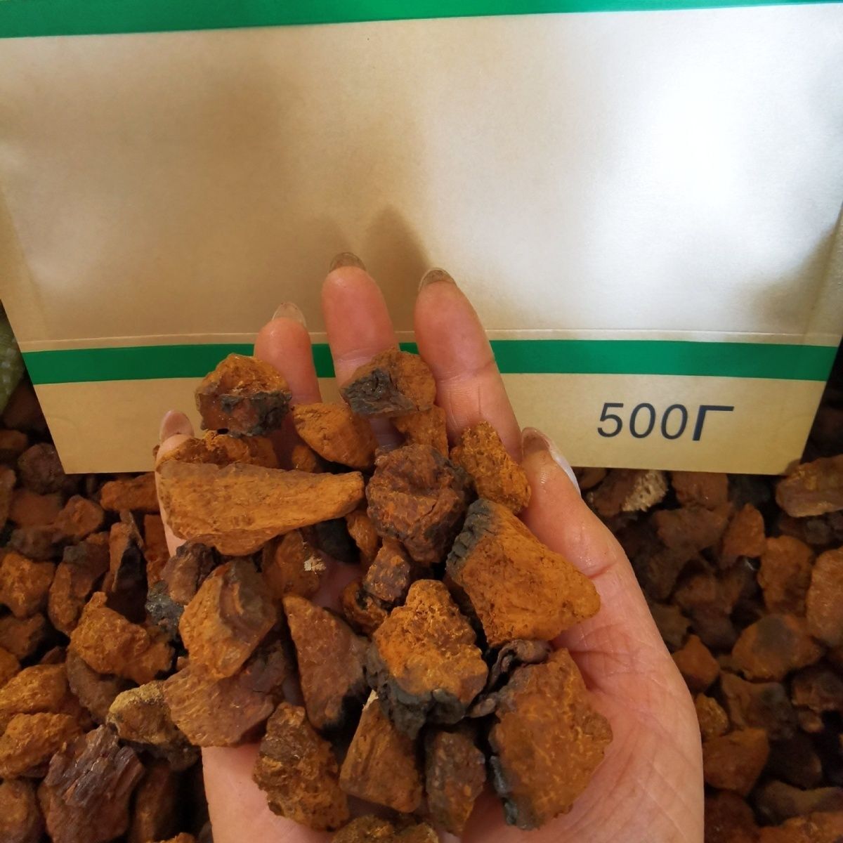 Wilder Chaga-Pilz-Extrakt Kontrolle des hohen Blutzuckerspiegels Birkenpilz-Tee