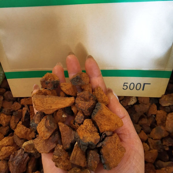 Wilder Chaga-Pilz-Extrakt Kontrolle des hohen Blutzuckerspiegels Birkenpilz-Tee