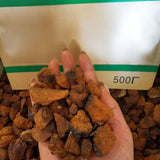 Wilder Chaga-Pilz-Extrakt Kontrolle des hohen Blutzuckerspiegels Birkenpilz-Tee