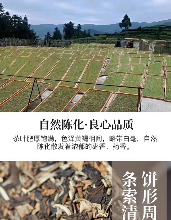 350g Fuding high mountain white tea aged day sun old tea cake gongmei shoumei