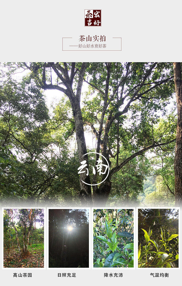 Puerh Tea Ripe Tea Loose Tea Chen Xiang Golden Bud Palace Material 500g