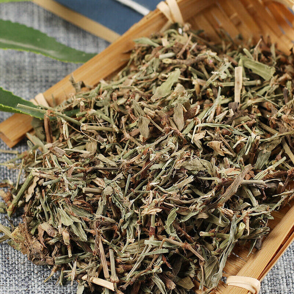 250g/500g Quality Bianxu High Quality Daidaihua Healthy Herbal Health Care 萹蓄