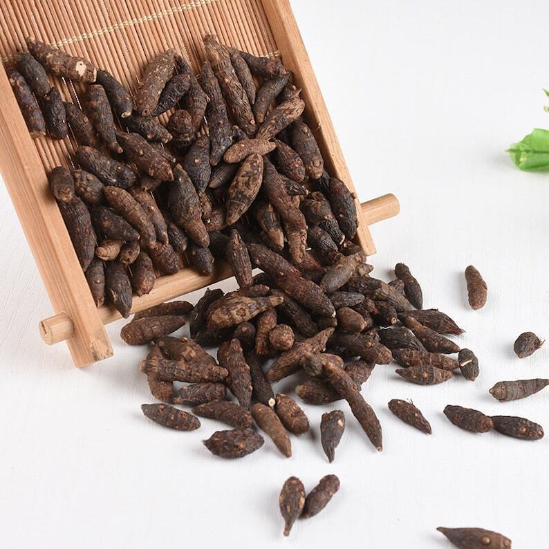 Dried Nut Grass Nutgrass Rhizoma Cyperi Rhizome Rhizoma Cyperi Xiang Fu Zi 500g Main image
