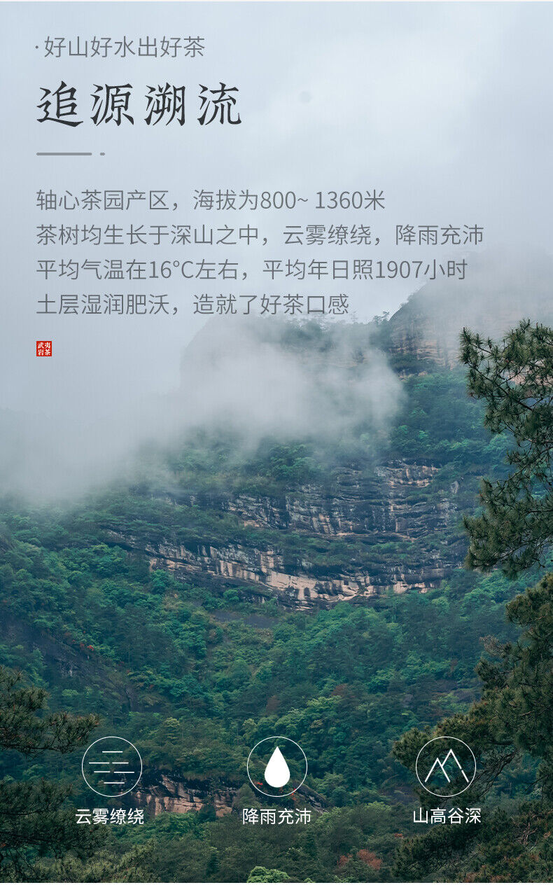 Dahongpao Cinnamon Laocong Narcissus Qilan Six Famous Teas Oolong Wuyi Rock Tea