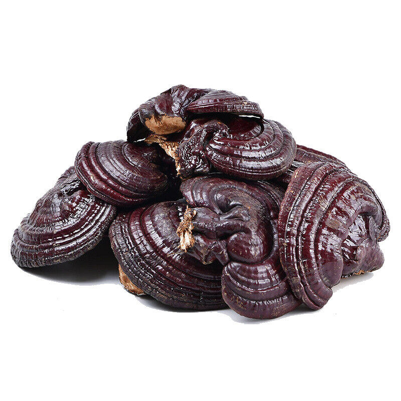 Ganoderma lucidum tablets in tea and soup Changbaishan wildlife infusion tea