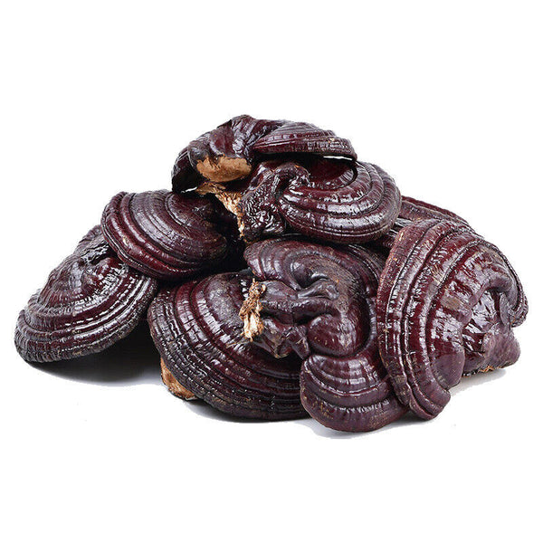 Ganoderma lucidum tablets in tea and soup Changbaishan wildlife infusion tea