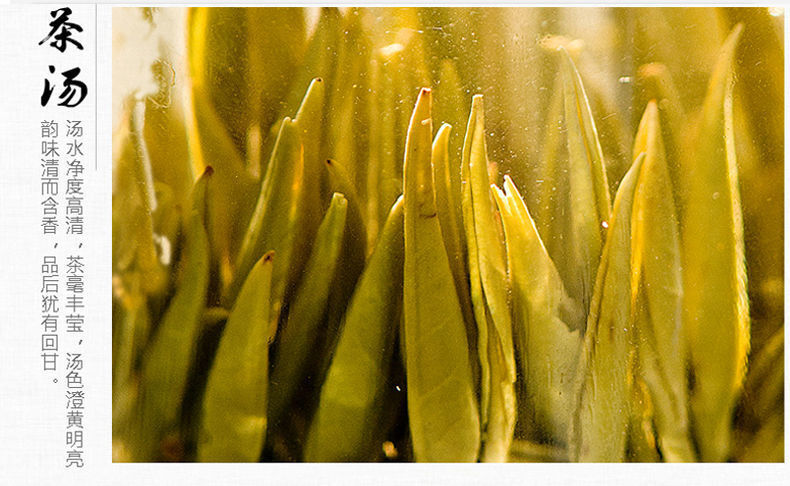 Yellow Tea Junshan Tea Xiangdao Brand Junshan Silver Needle Tea 50g - 100g Tin