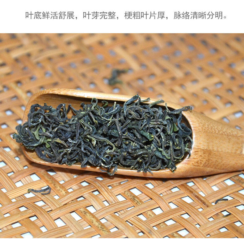 Rizhao Green Tea New Tea Strong Fragrance and Brewing Resistance 500g/1.1lb