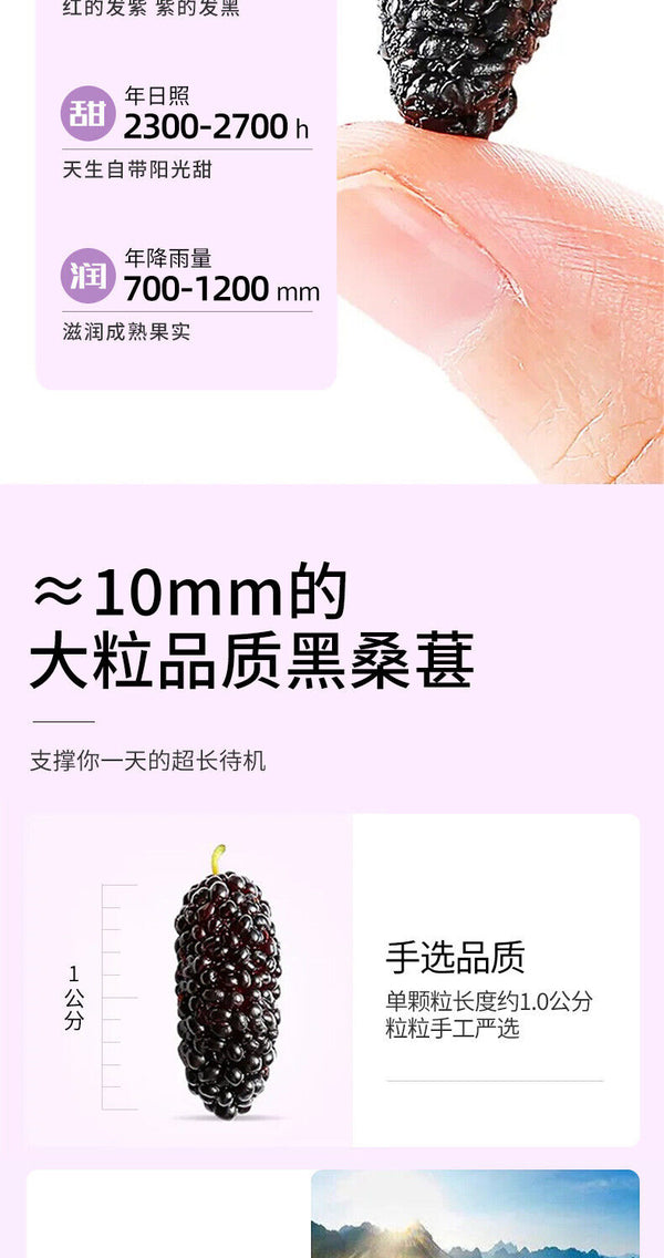 200g Dried Black Mulberries No Sand Premium Grade Sweet and Fragrant