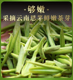 Jasmine Biluochun Green Tea 2024 Fresh Fragrant Loose Leaf Premium 125g