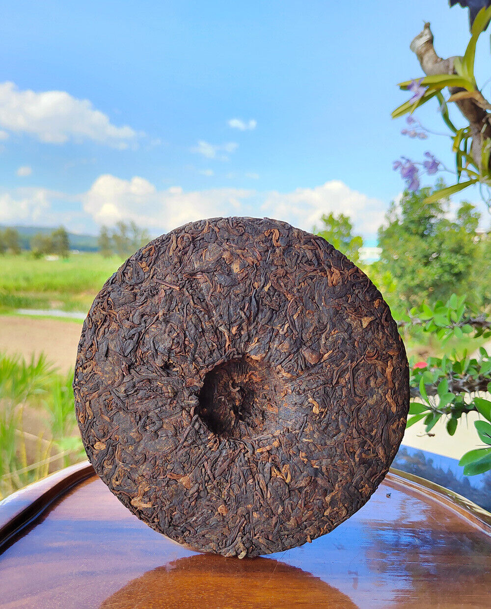 Puerh Ripe Tea Brown Mountain Ripe Tea Yunnan Seven Seed Cake Menghai Pu'er