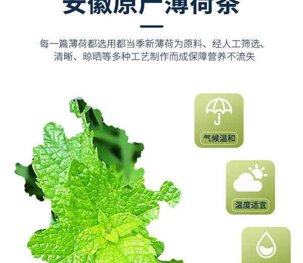 50g Mint Tea Herbal Tea Fruit Tea Mint Leaf Cool Tea Peppermint Loose Leaf Tea