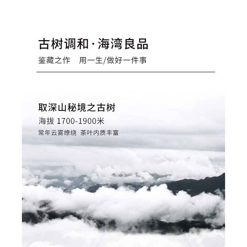 Liang Zai Pin * Yunnan 400g Pu'er Haiwan Old Comrade Old Tree Puerh Tea