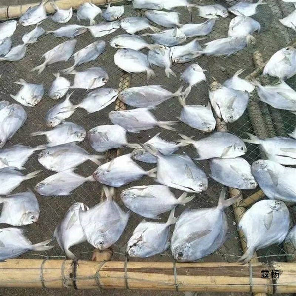 Salty Dried Small Pomfret Homemade Sun-Dried Fish Seafood Snack
