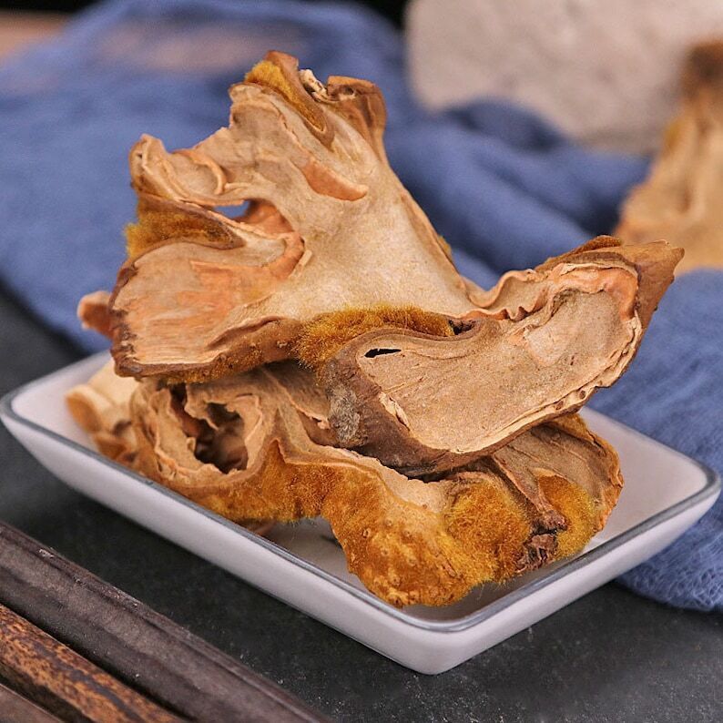 Recommend Rhizoma Cibotii, Cibotium Barometz, East Asian Tree Fern Rhizome