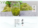 Premium Bi Luo Chun 2025 New Spring Tea Yunnan Dian Green 200g Natural